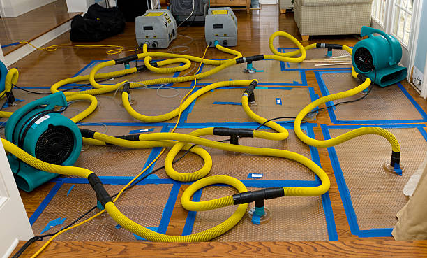 Professional Structural Drying And Dehumidification technician working in Cressey, CA
